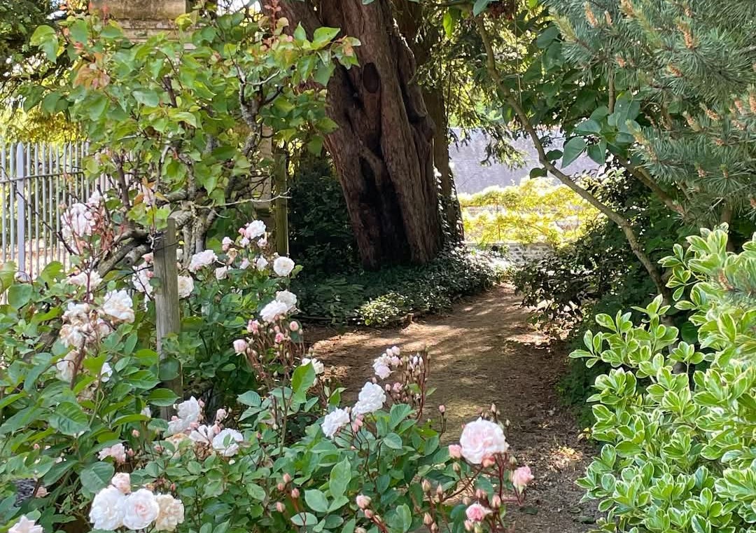 Gardens of Colette's house