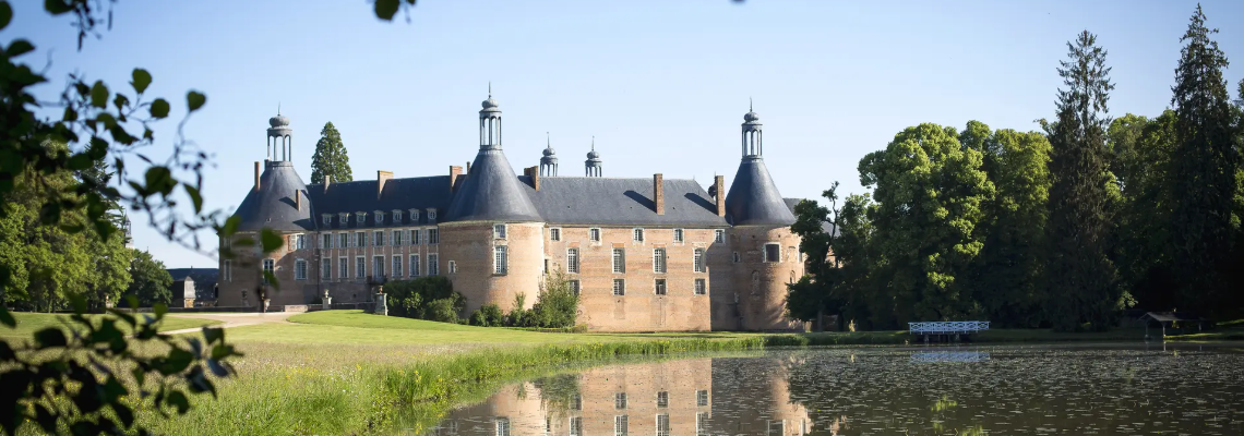 View of Saint-Fargeau Castle park